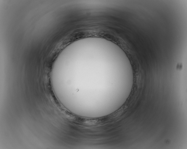 X0000113210757200909100946