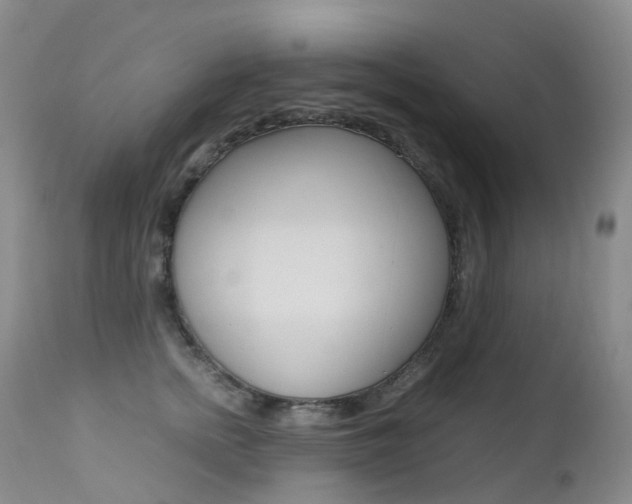 X0000113210758200909100946
