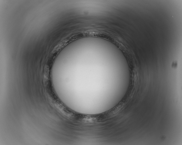 X0000113210760200909100946