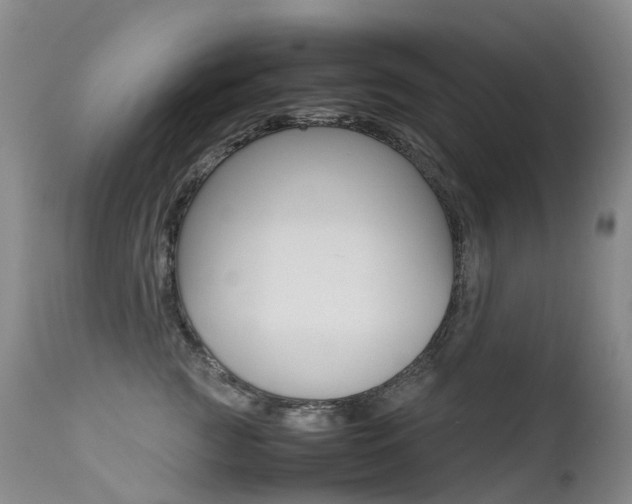 X0000113210761200909100946