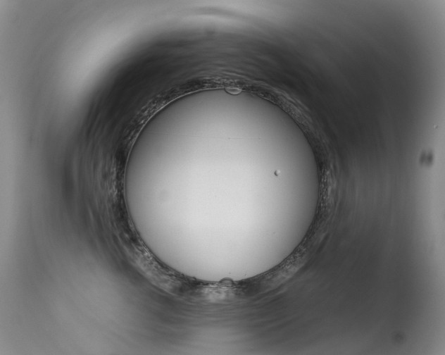 X0000113210762200909100946