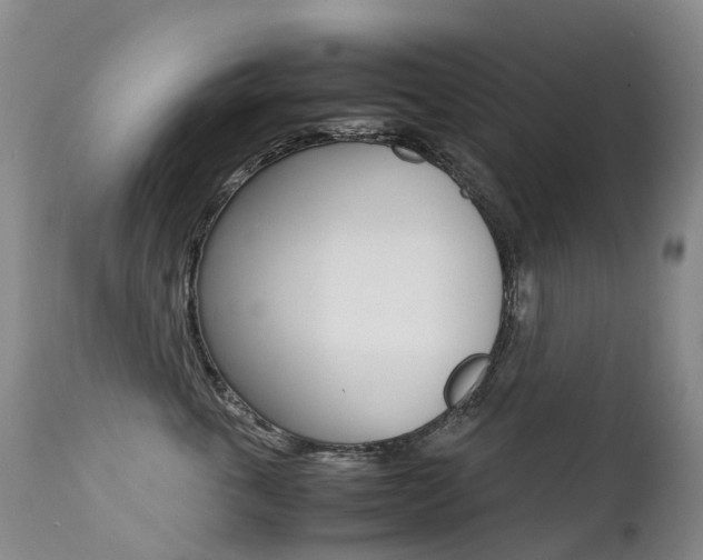X0000113210763200909100946