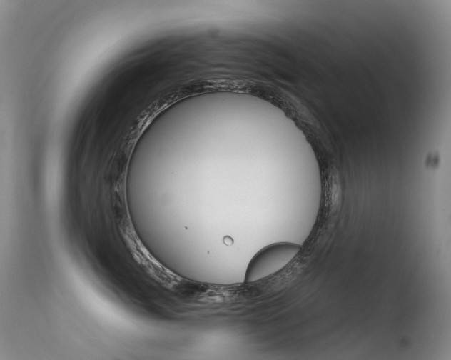 X0000113210764200909100946