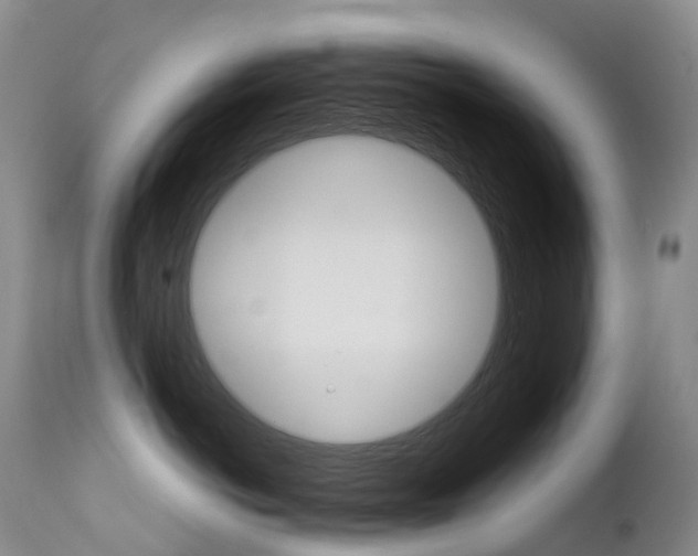 X0000113210766200909100946