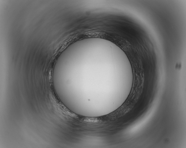 X0000113210767200909100947