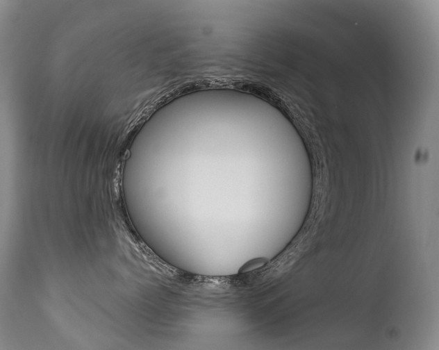 X0000113210768200909100947