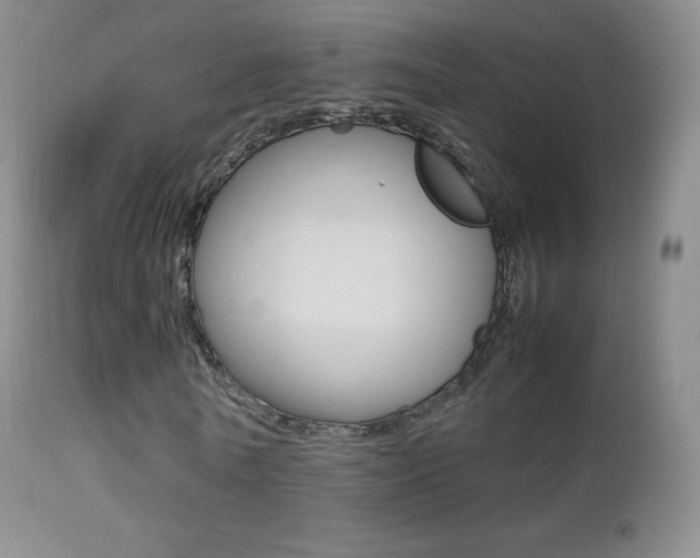 X0000113210770200909100946