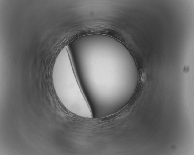 X0000113210771200909100946