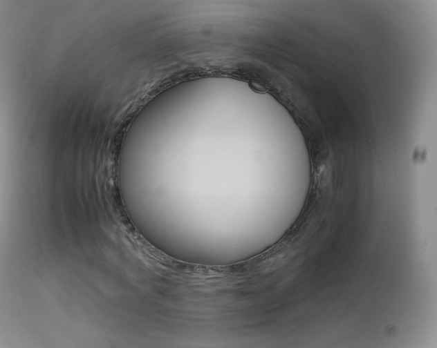X0000113210772200909100946