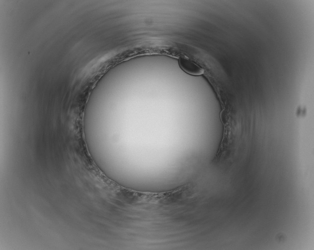 X0000113210773200909100946