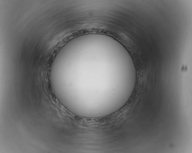 X0000113210774200909100946