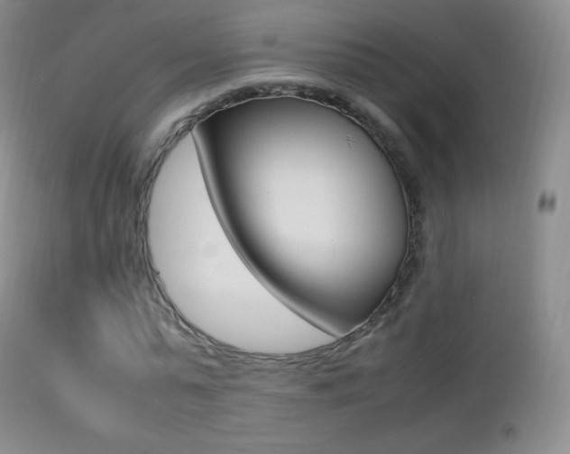 X0000113210775200909100946