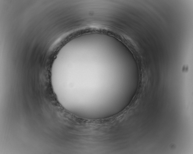 X0000113210776200909100946