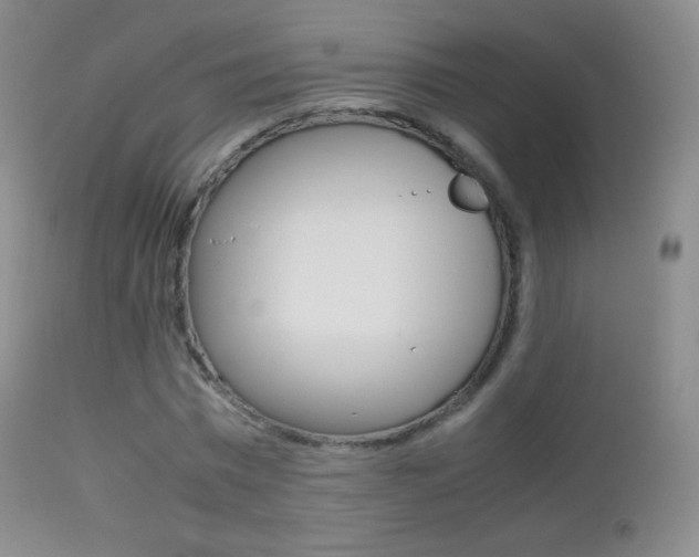 X0000113210777200909100946