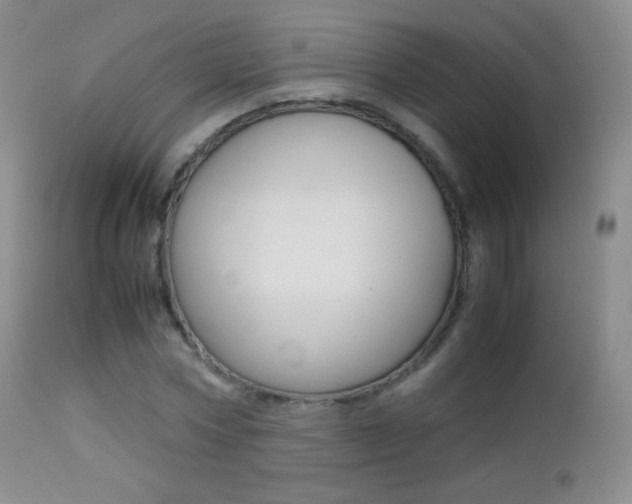X0000113210778200909100946