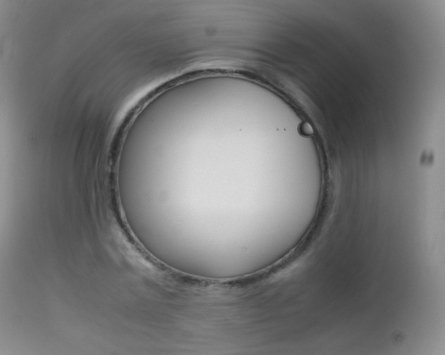 X0000113210779200909100946