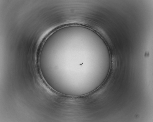 X0000113210780200909100946