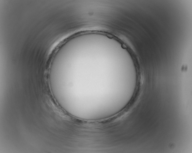 X0000113210781200909100946