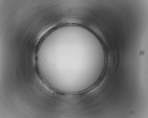 X0000113210782200909100946