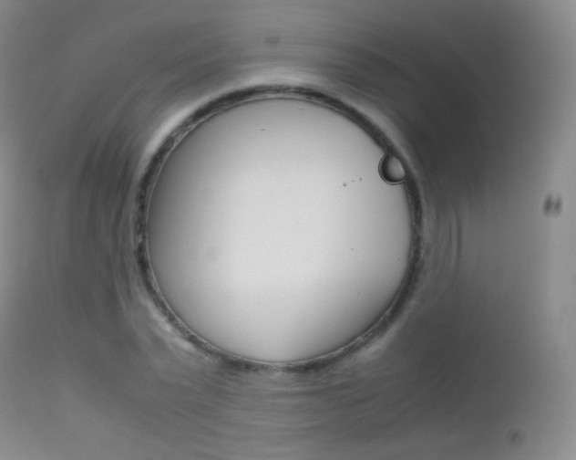 X0000113210783200909100945