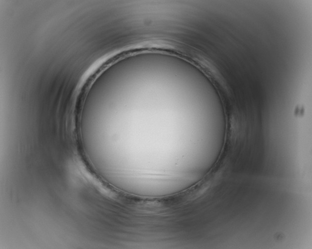 X0000113210784200909100945