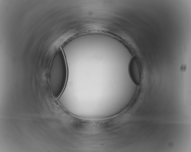 X0000113210785200909100945