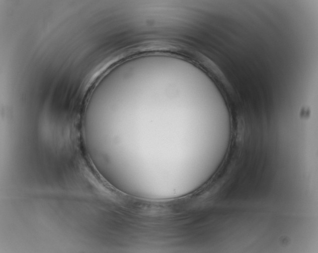 X0000113210786200909100945