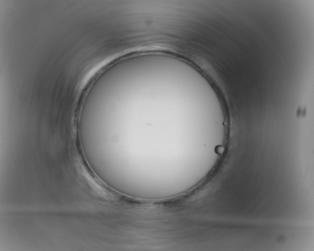 X0000113210789200909100945