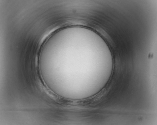 X0000113210790200909100945