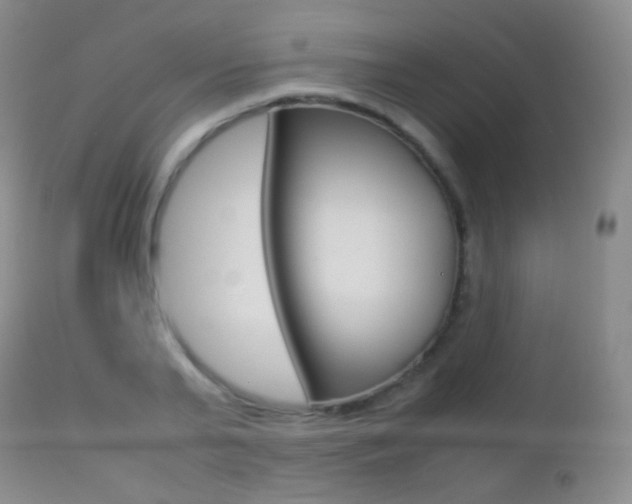 X0000113210791200909100945