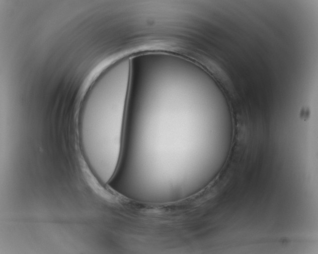 X0000113210792200909100945