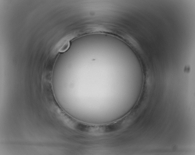X0000113210793200909100945