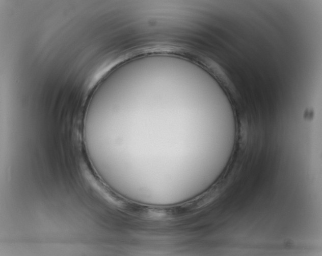X0000113210794200909100945
