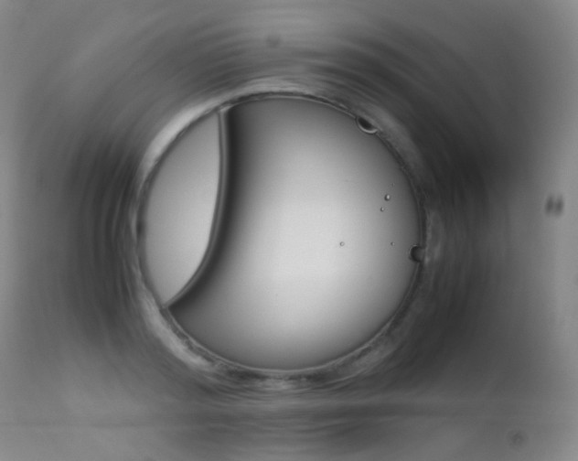 X0000113210796200909100945