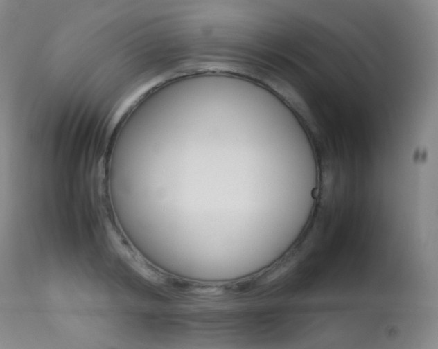 X0000113210798200909100945
