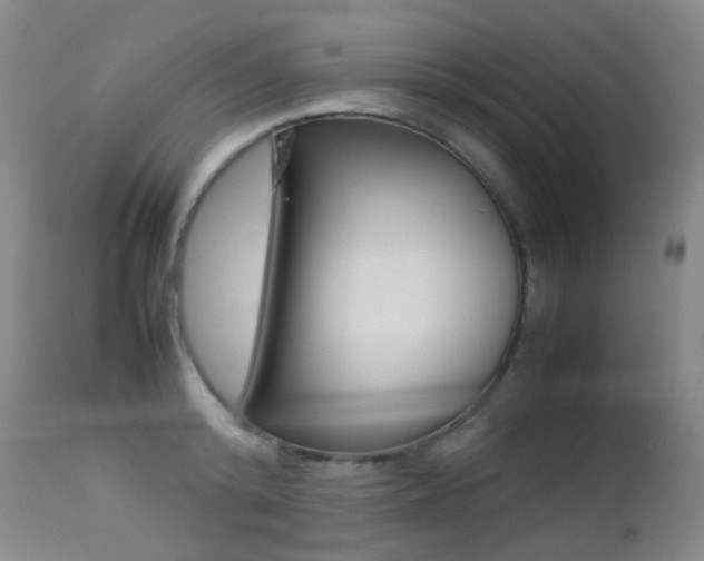 X0000113210800200909100945