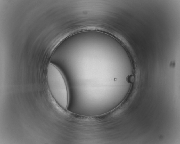 X0000113210801200909100945