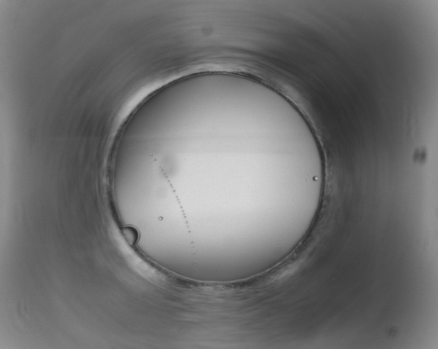 X0000113210803200909100945