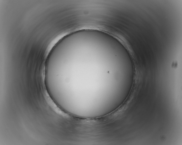 X0000113210804200909100945