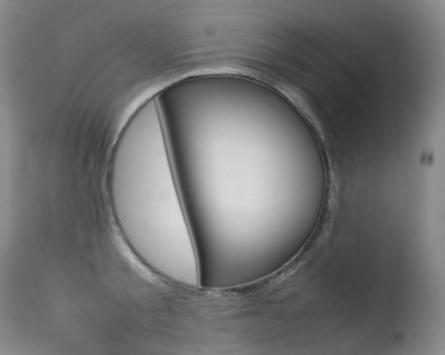 X0000113210805200909100945