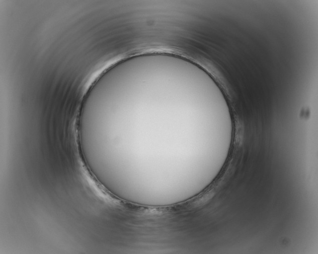 X0000113210806200909100945