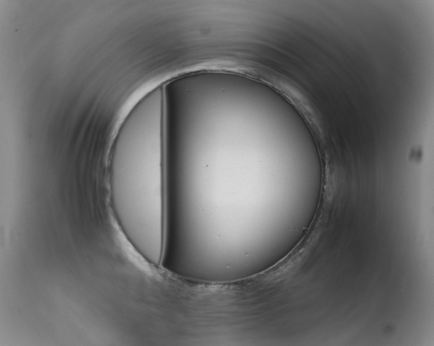 X0000113210808200909100945