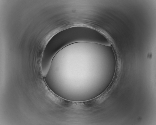 X0000113210809200909100945