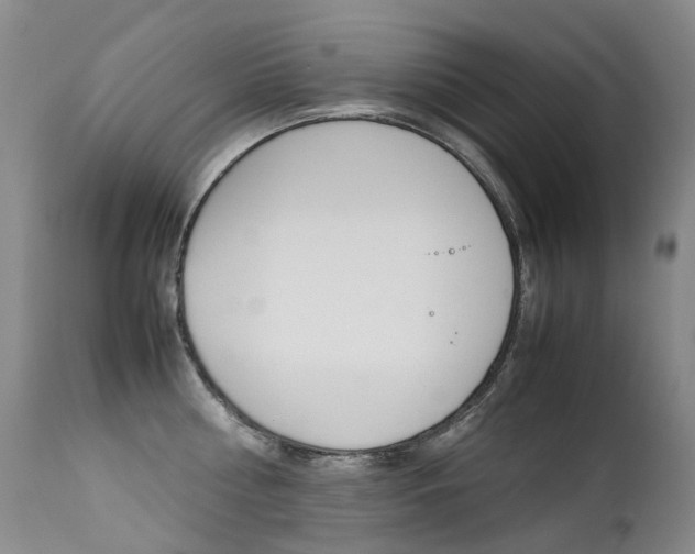 X0000113210810200909100945