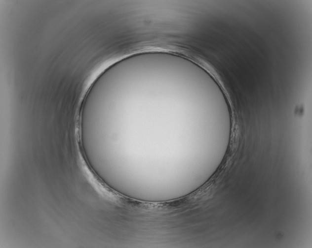 X0000113210811200909100945