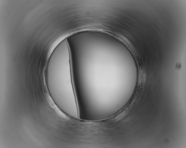 X0000113210812200909100945