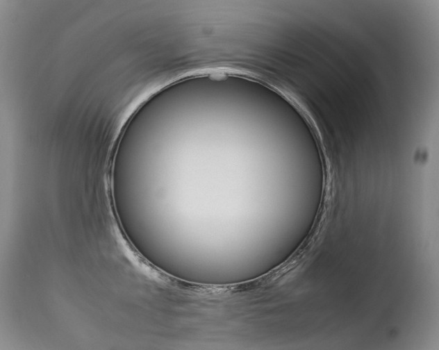X0000113210813200909100945