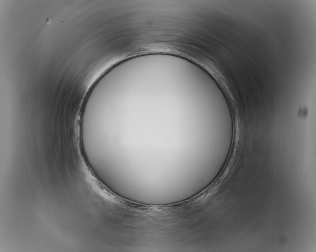 X0000113210814200909100945