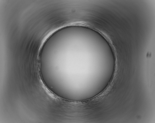 X0000113210816200909100945