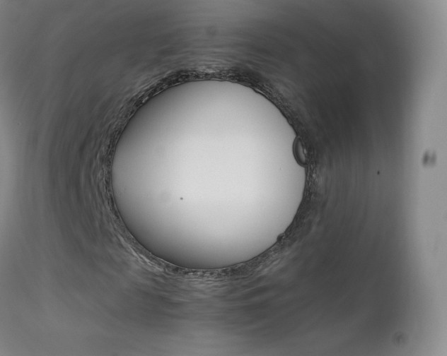 X0000113210817200909100944
